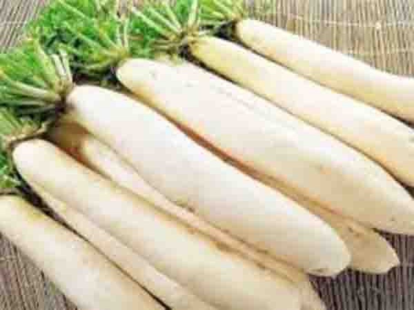 মুলার গুনাগুন সম্পর্কে জেনে নিন