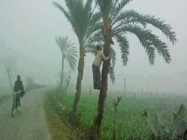  স্মৃতিময় শীতের সকাল 