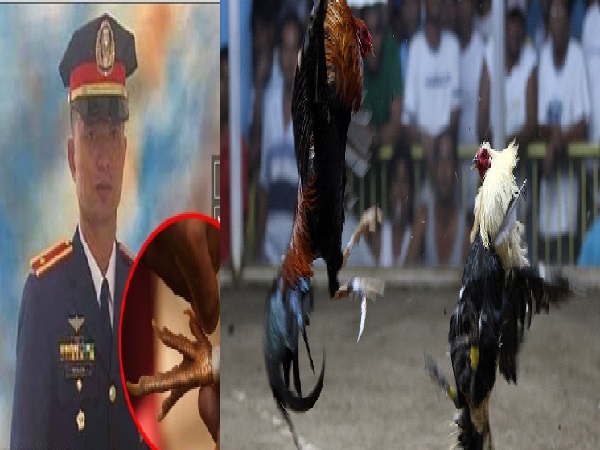 মোরগের হাতে পুলিশ খুন!