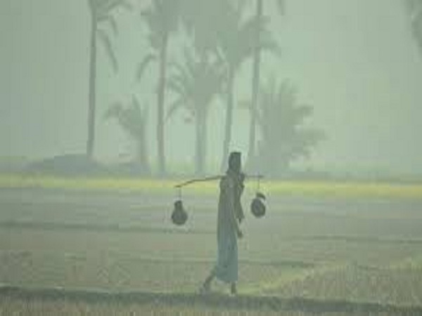 দেশের পাঁচটি অঞ্চলে আজ শৈত্যপ্রবাহ বইছে, সর্বনিম্ন তাপমাত্রা রেকর্ড তেঁতুলিয়া ৭.১