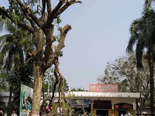 এটা পাখির অভয়ারণ্য হবে না, হবে রোগীর অভয়ারণ্য:রামেক পরিচালক