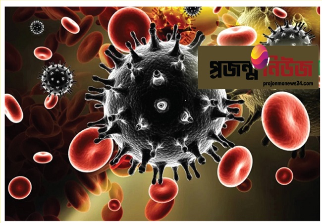 দেশে গত ২৪ ঘণ্টায় ১৩ জনের করোনা শনাক্ত হয়েছে। তবে একই সময়ে কারো মৃত্যু হয়নি।