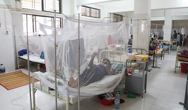ডেঙ্গু জ্বরে আক্রান্ত ২৪ ঘণ্টায় আরও দুজনের মৃত্যু