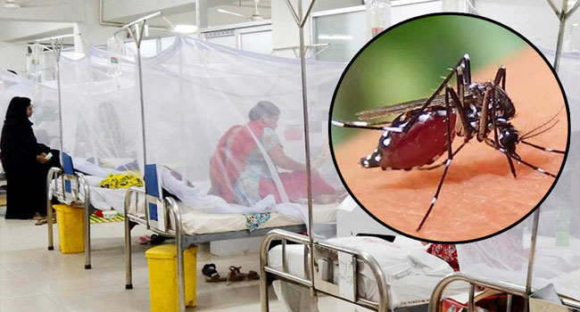 ডেঙ্গুতে আরো ৫ জনের মৃত্যু, হাসপাতালে ভর্তি ১১৩৯