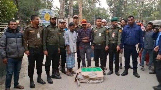 ময়লার গাড়িতে সরকারি ওষুধ পাচার, গ্রেফতার ২