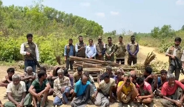 সংরক্ষিত গাছ কেটে পাচারের সময় ২৬ রোহিঙ্গা আটক