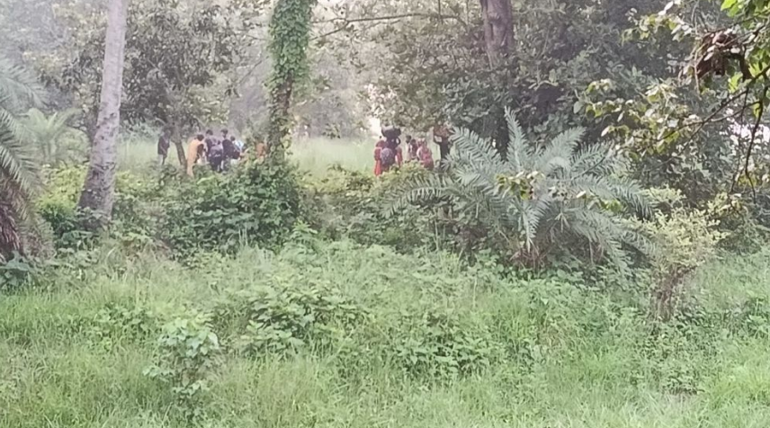 চাঁপাইনবাবগঞ্জ সীমান্তে ২৮ জনকে পুশইনের চেষ্টা বিএসএফ’র
