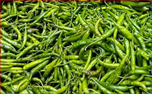 আমদানির খবরে একদিনে কমলো কাঁচা মরিচের দাম